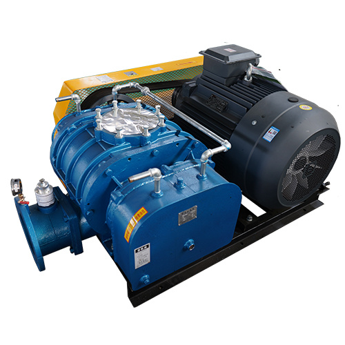 Telung-Lading Intensif Roots Blower Vacuum Pump